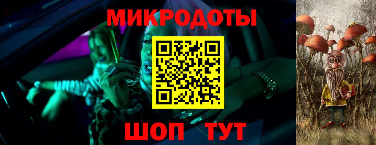 Галлюциногенные грибы Psilocybine cubensis Ярославль